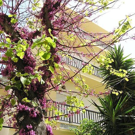 Popy Apartments Jerápetra Kültér fotó